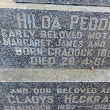 PEDDIE :: HECKRATH