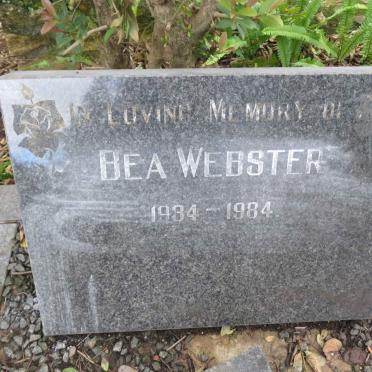 WEBSTER Bea 1934-1984