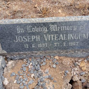 VITEALINGUM Joseph 1897-1962