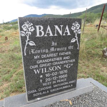 BANA Wilson 1876-1966