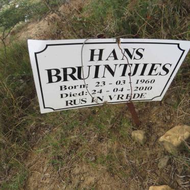 BRUINTJIES Hans 1960-2010