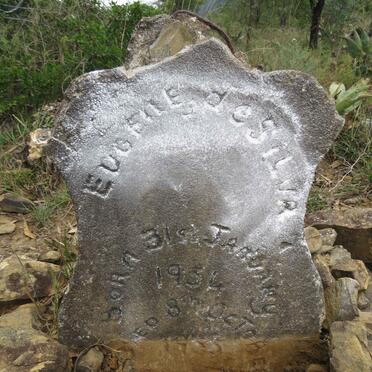 SILVA Eugene, de 1954-1955