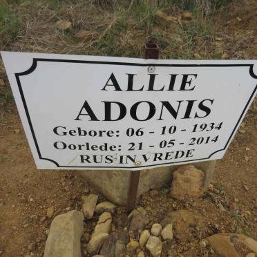 ADONIS Allie 1934-2014