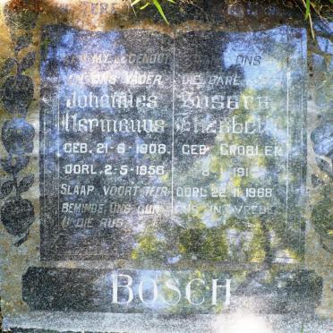BOSCH Johannes Hermanus 1908-1956 &amp; Susara Elizabeth GROBLER 1914-1988