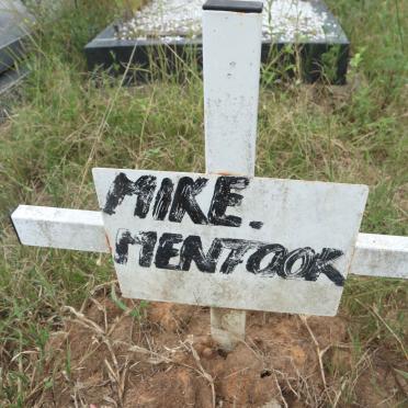 MENTOOR Mike
