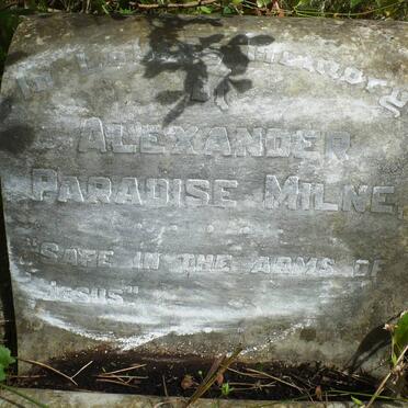 MILNE Alexander Paradise