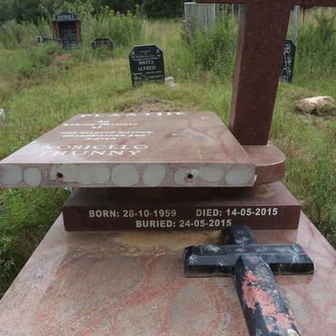 PLAATJIE Nusicelo Thunny 1959-2015