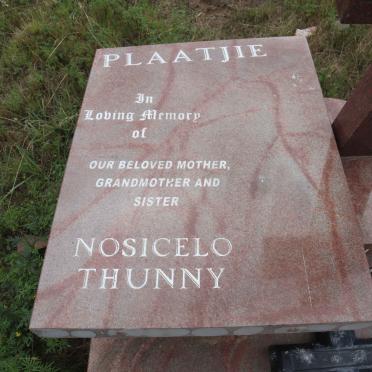 PLAATJIE Nusicelo Thunny 1959-2015