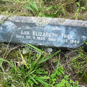 TREE William 1863-1937 &amp; Ann Elizabeth 1858-1944