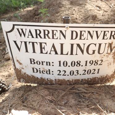 VITEALINGUM Warren Denver 1982-2021
