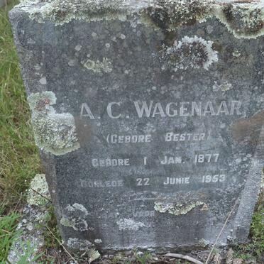 WAGENAAR A.C. nee BESTER 1877-1953