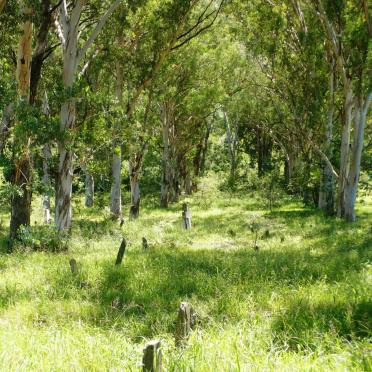 Eastern Cape, BEDFORD, Main cemetery