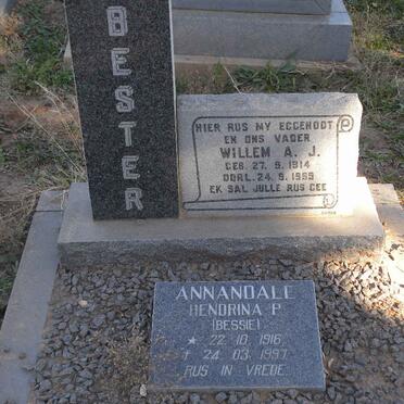 BESTER Willem A.J. 1914-1969 :: ANNANDALE Hendrina P. 1916-1997