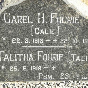 F - Vanne :: Surnames - F