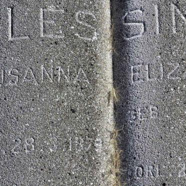 LESSING Susanna Elizabeth nee STEYN 1879-19?