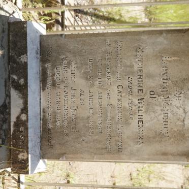 LOTTER Catherine Wilhemina 1899-1900 :: LOTTER James John 1898-1901