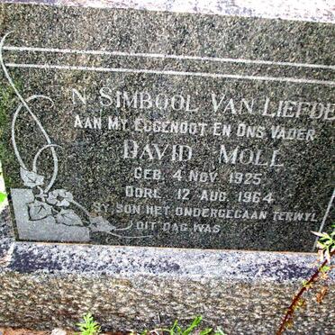 MOLL David 1925-1964