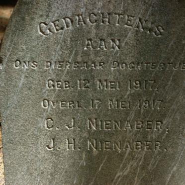 NIENABER 1917-1917