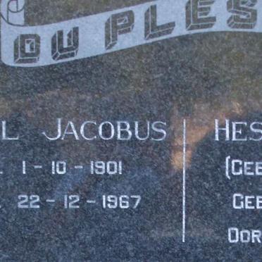 PLESSIS Daniël Jacobus, du 1901-1967 &amp; Hester Sophia STRYDOM 