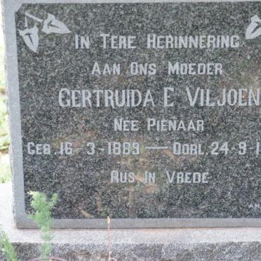 VILJOEN Gertruida E. nee PIENAAR 1889-1963