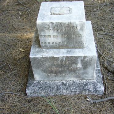 ? Harry -1896 :: ?  Elizabeth 1892-1893