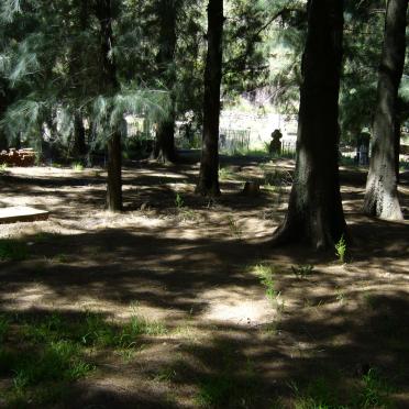 Eastern Cape, BURGERSDORP, Old cemetery