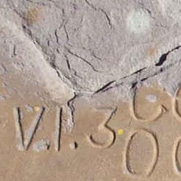 BUYS Izak Stephanus C. 1880-1943