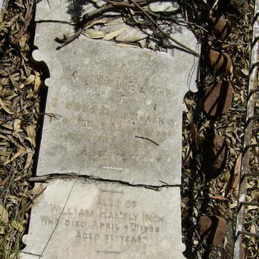 INCH William Hambly -1908  &amp; Jacoba Christina -1907