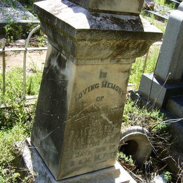 PITT Dallas Kemp -1933