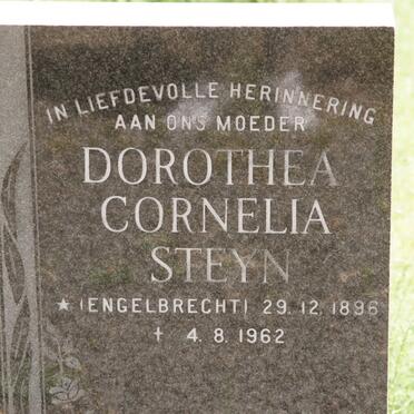 STEYN Dorothea Cornelia nee ENGELBRECHT 1896-1962