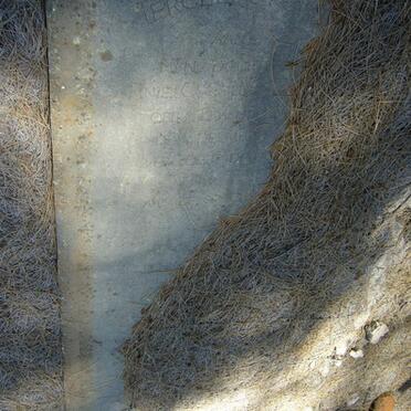 STEENEKAMP Anie C. nee ERASMUS 18??-1918