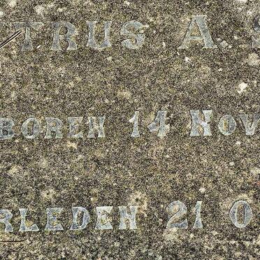 SMIT Petrus A. 1884-1918