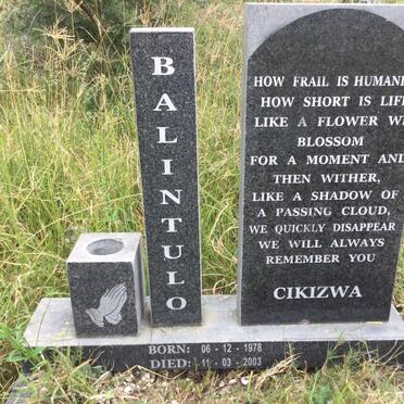 BALINTULO Cikizwa 1978-2003