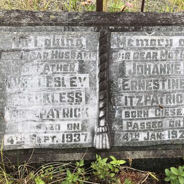 FITZPATRICK Wellesley Reckless -1937 &amp; Johanne Ernestine GIESE -1925