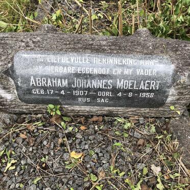 MOELAERT Abraham Johannes 1907-1958