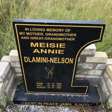 N - Vanne :: Surnames - N