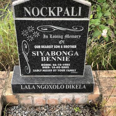 NOCKPALI Bennie 1982-2002