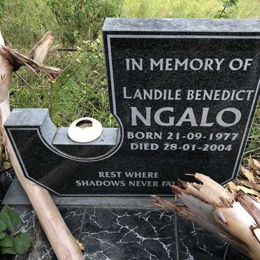 NGALO Landile Benedict 1977-2004