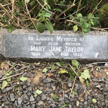 TAYLOR Mary Jane 1864-1950