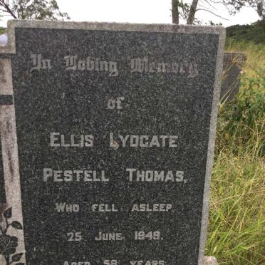 THOMAS Ellis Lydgate Pestell -1949