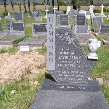 HAMMOND David Arthur 1938-1991