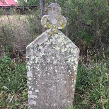 DELL Rose Mable -1877