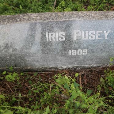 PUSEY Iris -1909