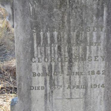 PUSEY Sarah 1842-1914