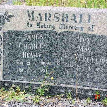 MARSHALL James Charles Henry 1889-1957 &amp; Ivy May TROLLIP 1892-197?