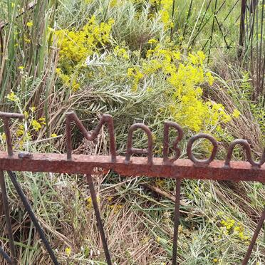MABONA T.