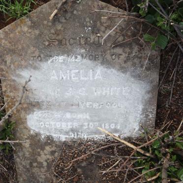 WHITE Amelia 1804-1884