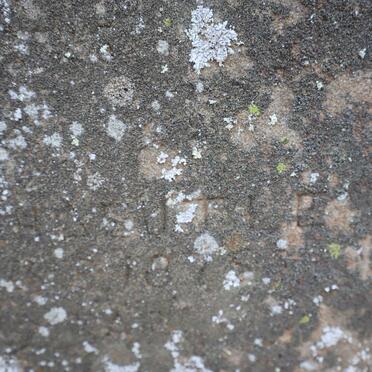 HAEUTLE Henry Orten -187? &amp; Francis -18??