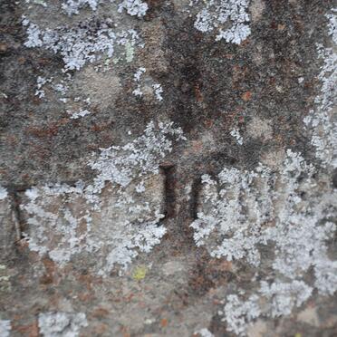 JONES Richard Bassett -1920 