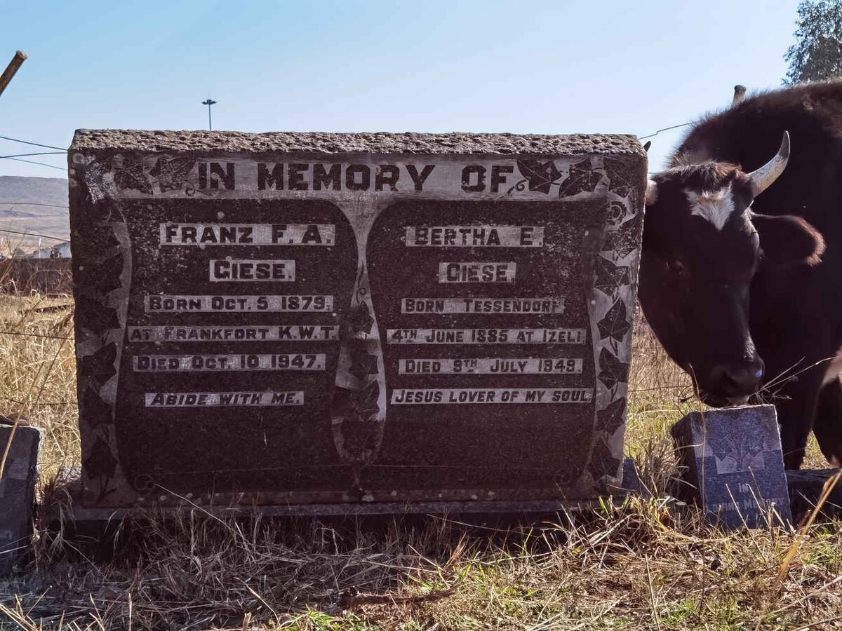 GIESE Franz F.A. 1879-1947 & Bertha E. TESSENDORF 1885-1949